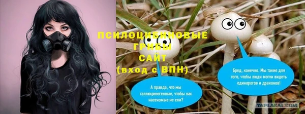 марки lsd Елабуга