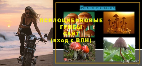 марки lsd Елабуга